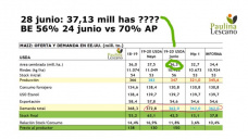 ¿Podemos realmente pensar que el problema productivo del maíz en USA se terminó? NO, con Paulina Lescano - Clínica de Granos