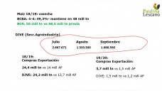 El Maíz sin mucha fuerza por ahora, pero resiste y sigue con el mejor comportamiento, con Paulina Lescano - Clínica de Granos
