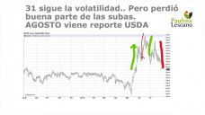 La culpa es de los fondos? difícil entender porque el mercado en Chicago perdió gran parte de lo ganado en maíz, con Paulina Lescano - Clínica de Granos