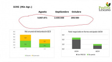 De ser la estrella el maíz.. a ser el peor de todos, con Paulina Lescano - Clínica de Granos