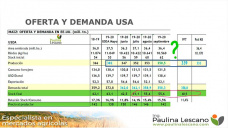 Maíz: al que mas fe le tenía, mas le cuesta el repunte, con Paulina Lescano - Clínica de Granos