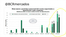 Maíz: avanzan los negocios de la nueva campaña, mientras esperamos las lluvias, con Paulina Lescano - Clínica de Granos
