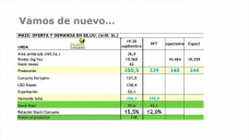 Maíz: esperando el reporte del USDA, pero en especial las lluvia, con Paulina Lescano - Clínica de Granos