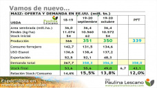 Soja: Chicago recuperó 10% desde los mínimos de septiembre, localmente sólo 3%, con Paulina Lescano - Clínica de Granos