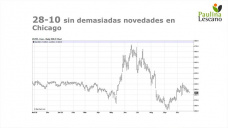 Maíz: avanza lento, pero avanza, con Paulina Lescano - Clínica de Granos