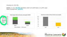 Maíz: ya pasó el USDA, sigue sin generar fuertes recortes de producción y mientras tanto avanza la cosecha, con Paulina Lescano - Clínica de Granos