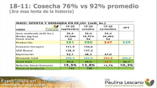 En USA habrá maíz que espere la primavera para poder ser cosechado, con Paulina Lescano - Clínica de Granos