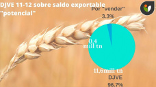 Trigo: el mejor gráfico en Chicago, pero con muchas dudas en el plano local, con Paulina Lescano - Clínica de Granos