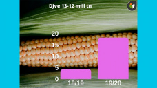 Maíz: cuando llegan las buenas lluvias con buena cobertura?, con Paulina Lescano - Clínica de Granos 