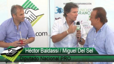 TV: ¿Qué van a hacer por el Campo Miguel Del Sel y 