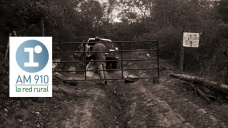 Minuto del productor; más denuncias de campos usurpados