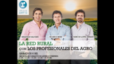 Sábado 12-11-2016 - programa completo