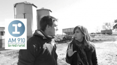 Análisis y testimonios de tamberos sobre la visita de Cristina Fernández de Kirchner al tambo en Lincoln