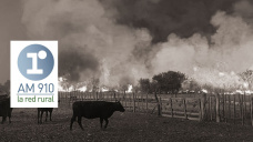 Pedro Novak - productor de General Alvear, Mendoza