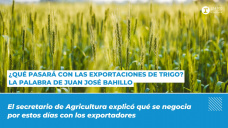 ¿Qué pasará con las exportaciones de trigo? La palabra de Juan José Bahillo
