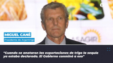 Miguel Cané - presidente de Argentrigo