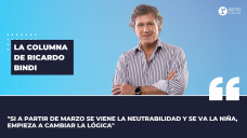 Columna Ricardo Bindi: 