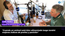 Luis Perez, director de Marketing de ALZ Agro