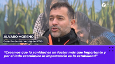 Álvaro Moreno, gerente de marketing de KWS.