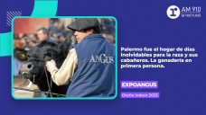 ExpoAngus – Otoño Indoor 2023