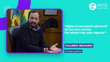 Facundo Nejamkis, analista político. 