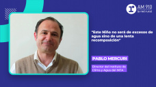 Pablo Mercuri, director del Instituto de Clima y Agua del INTA 