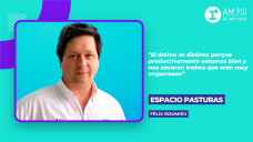 Félix Roumieu, gerente comercial de Gentos