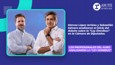 El análisis de Los Profesionales del Agro sobre el debate de la “Ley ómnibus”