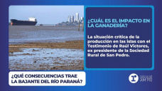 ¿Qué consecuencias trae la bajante del Río Paraná? 