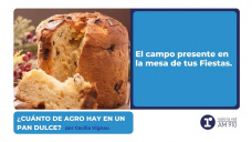¿Cuánto de agro hay en un pan dulce? Por Cecilia Vignau