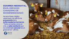 Diarrea neonatal, en el espacio ganadero de Biogénesis Bagó