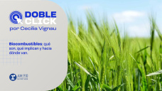 Doble Click: el dilema moral de los biocombustibles