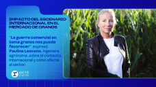 Impacto del escenario internacional en el mercado de granos