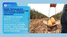 Maíz: “Son buenos precios, el productor va a hacer un buen negocio”