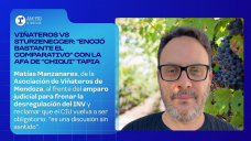 Viñateros Vs Sturzenegger: “Enojó bastante el comparativo” con la AFA de “Chiqui” Tapia