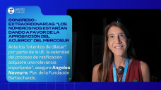 Congreso - extraordinarias: “los números nos estarían dando a favor de la aprobación del acuerdo” del MERCOSUR