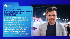 Olivicultores sanjuaninos, en contra del acuerdo UE-MERCOSUR