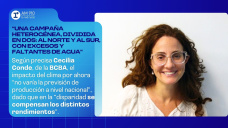 “Una campaña heterogénea, dividida en dos: al norte y al sur, con excesos y faltantes de agua”