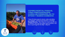 Combo mortal para el vino: precios bajos, caída de consumo, alto stock y buena cosecha