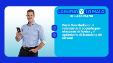 Darío Guardado con el retraso de la cosecha por el exceso de lluvias y el optimismo de la cadena del Girasol.