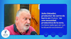 Julio Cittadini, productor de carne de burro en Chubut: 