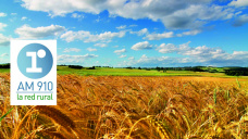 Editorial Viernes 21-12-2018 - 