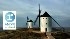 Micro Agropecuario: “El impacto de la devaluación sobre el negocio de los molinos”