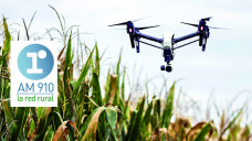 Micro agropecuario de 15.35: “el gobierno impulsa la creación de un polo de investigación de tecnología agropecuaria”