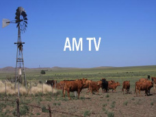 AM TV: Con el peso mínimo de faena actual, el criador está recibiendo un 24% menos del precio vigente 