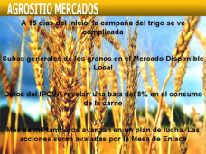 AM TV: La Mesa de Enlace pide que no se implemente el CTG porque complicaría el fín de la cosecha gruesa