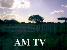 AM TV: 
