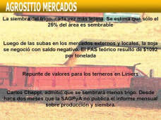 AM TV: Sólo un millón de hectáreas de los seis millones del  área de trigo sería sembrable