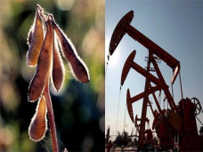 AM TV: El petróleo, la soja y los granos revierten las caídas de ayer y se negocian con leves alzas