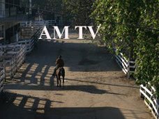 AM TV: ¿Se reabren las exportaciones de maíz y trigo? Buenos valores para las vaquillonas en Liniers